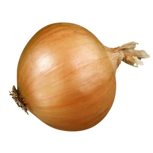 CEBOLLA SECA ECO unidad