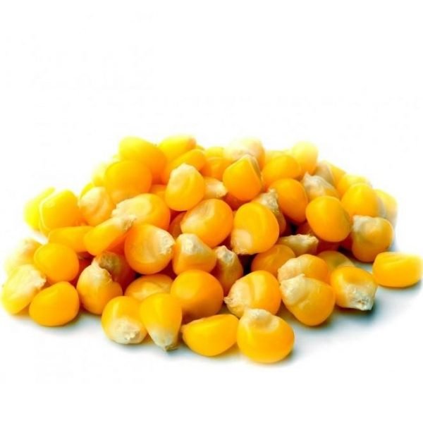 MAÍZ PARA PALOMITAS  BIO 100 gr