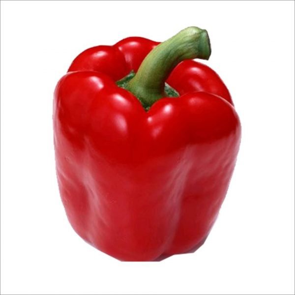PIMIENTO ROJO 4 CANTOS ECO  unidad