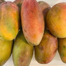 MANGO ECOLÓGICO KG